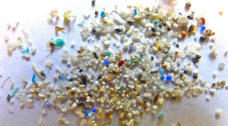 Illustration for article titled Why Those Little Plastic Microbeads in Your Soap Are So Bad